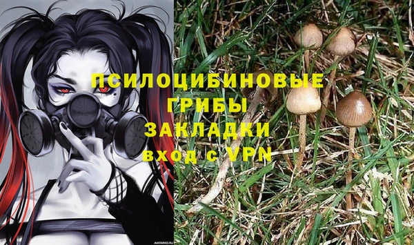 марки nbome Аркадак