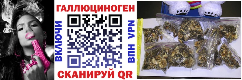 сколько стоит  Нижняя Салда  hydra вход  Галлюциногенные грибы прущие грибы 